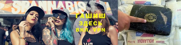 индика Гусиноозёрск