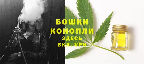 индика Гусиноозёрск