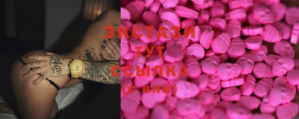 индика Гусиноозёрск