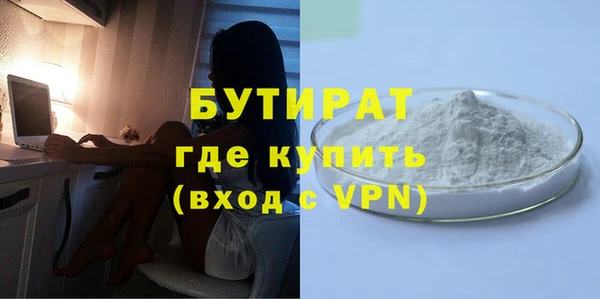 индика Гусиноозёрск