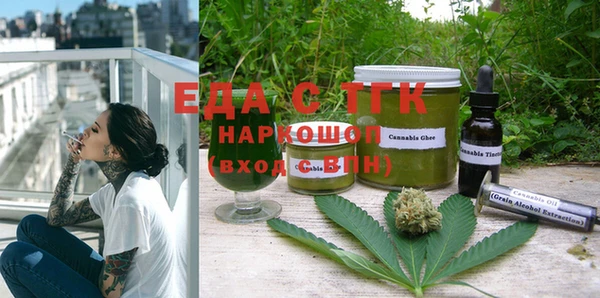индика Гусиноозёрск