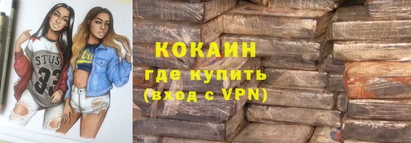 индика Гусиноозёрск