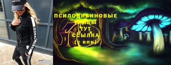 первитин Дмитровск