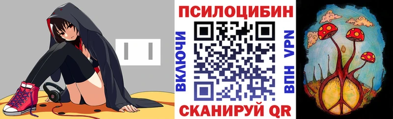 Купить закладки  Сортавала  Галлюциногенные грибы Magic Shrooms 